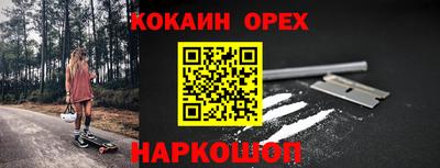 мдпв Кингисепп