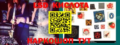 мдпв Кингисепп
