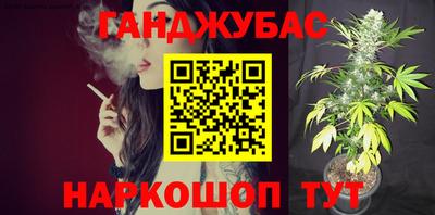 мдпв Кингисепп