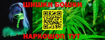 мдпв Кингисепп