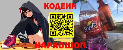 мдпв Кингисепп