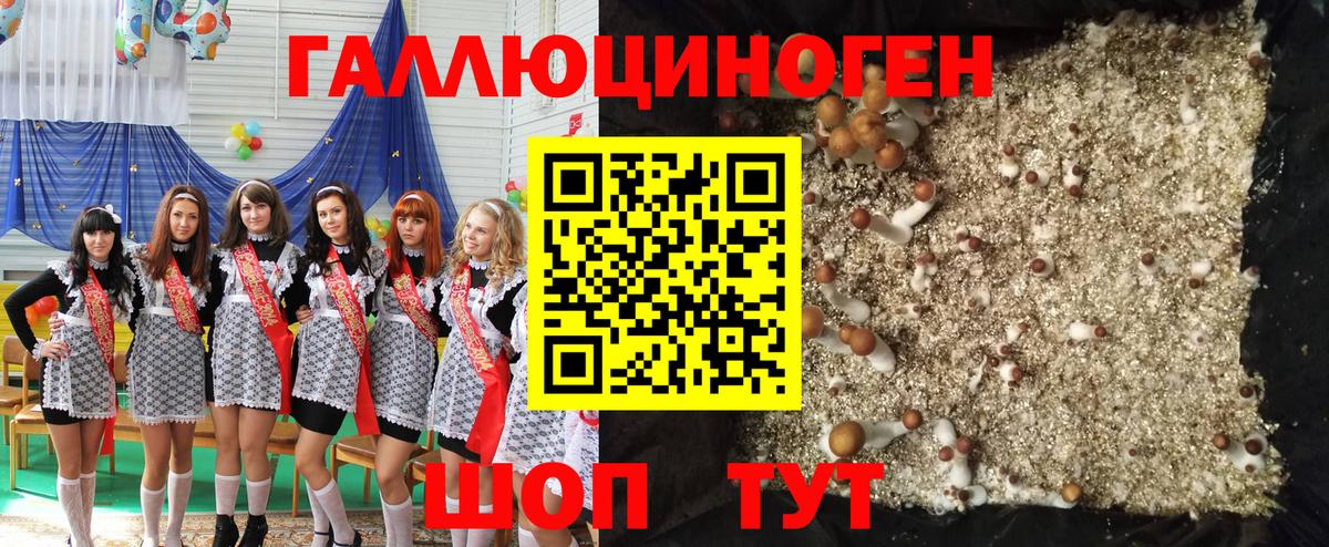 Псилоцибиновые грибы мицелий Лабытнанги
